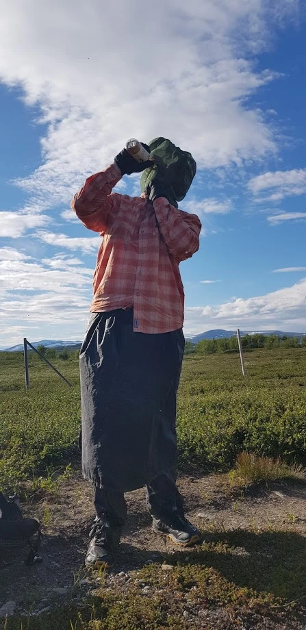 Basic Nature Moskitohutnetz No-See-Um - Mosquito Net 5 Basic Nature Moskitohutnetz No-See-Um - Mosquito Net - Image 3