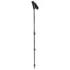 Backcountry Ergo - Walking Poles