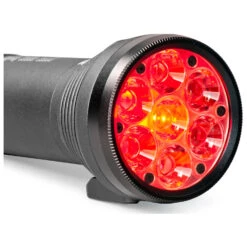 Lupine Betty TL2 - Torch 13 Lupine Betty TL2 - Torch -Brunner Sales 2025 lupine betty tl2 torch detail 4