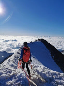 SALEWA Ortles Wall 32 - Mountaineering Backpack 7 SALEWA Ortles Wall 32 - Mountaineering Backpack -Brunner Sales 2025 salewa ortles wall 32 tourenrucksack f3492028f924b97ab35e266193813f32 1