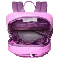 The North Face Youth Court Jester - Kids' Backpack -Brunner Sales 2025 the north face youth court jester kids backpack detail 3